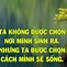 Bài Học Trong Cuộc Sống Là Gì