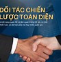 Các Nước Là Đối Tác Chiến Lược Toàn Diện Với Việt Nam