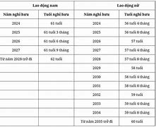 Tính Tuổi Về Hưu Năm 2024