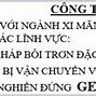 Việc Làm Ngành Xi Măng